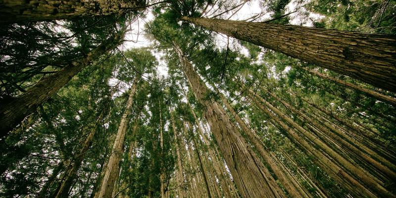 守护男性健康：贵阳专业泌尿外科与男科疾病防治指南