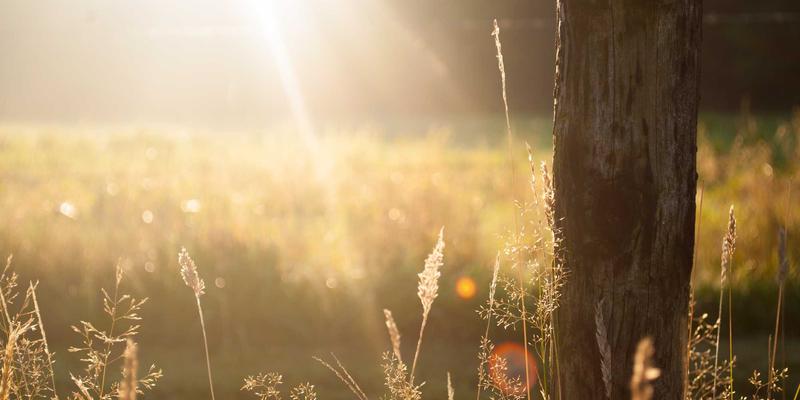 贵阳男性健康指南：科学认识男科疾病与前列腺炎的防治之道