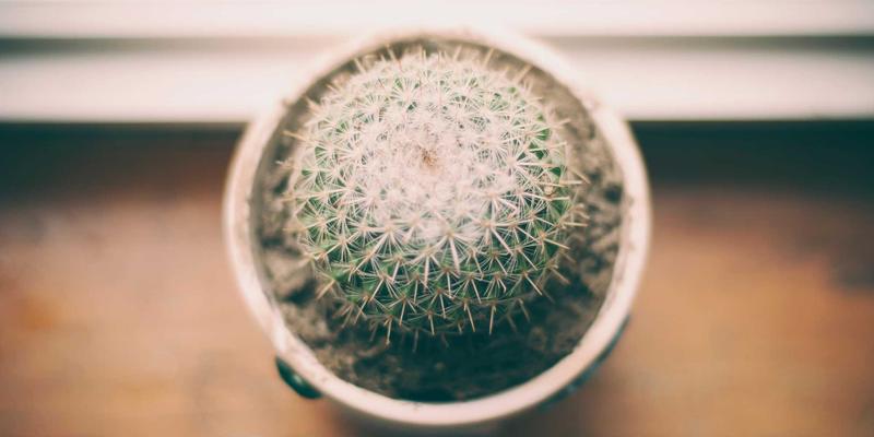 贵阳男科医院99：专业诊疗前列腺炎与性功能障碍，守护男性健康