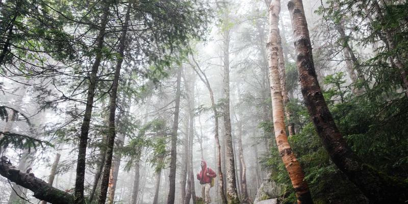 贵阳男科医院与泌尿外科：专业守护男性健康，科学咨询是关键