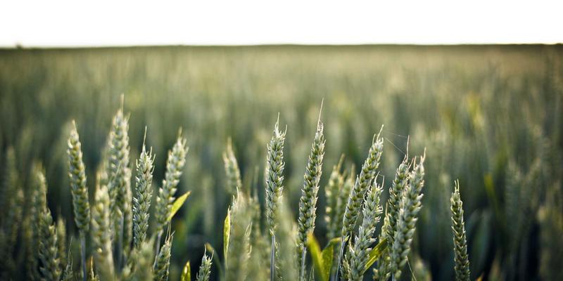 贵阳男科医院专业解析：泌尿外科疾病防治与就医指南