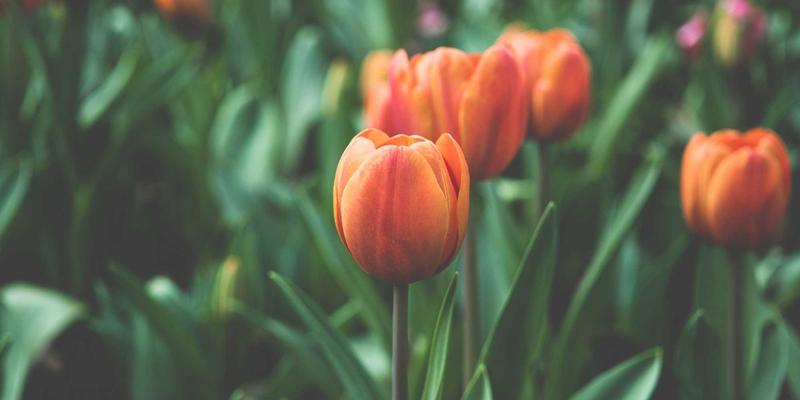 贵阳男科医院专业解读：前列腺炎的防治与男性健康管理