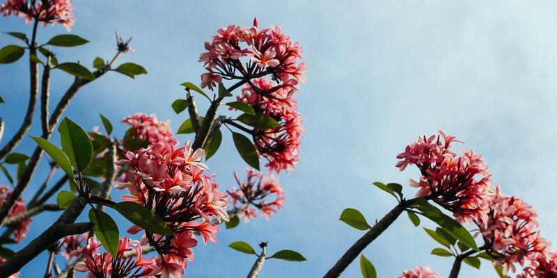 贵阳男科医院专业解读：泌尿外科与性功能障碍的现代诊疗