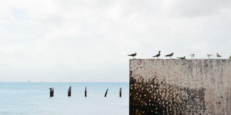 贵阳男科医院专家深度解析：睾丸疼痛的常见病因鉴别与急诊处理原则