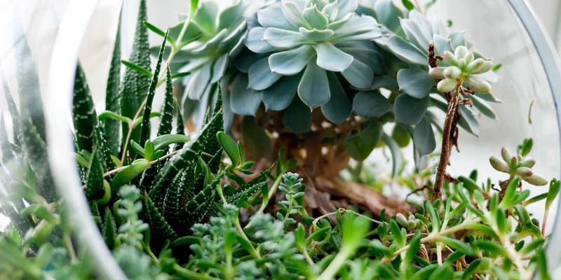 贵阳男科医院专家解读：精液不液化如何导致男性不育？中西医结合治疗新思路