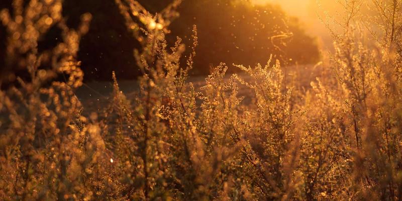 贵阳男科医院全攻略：科学认识性功能障碍与专业诊疗服务选择