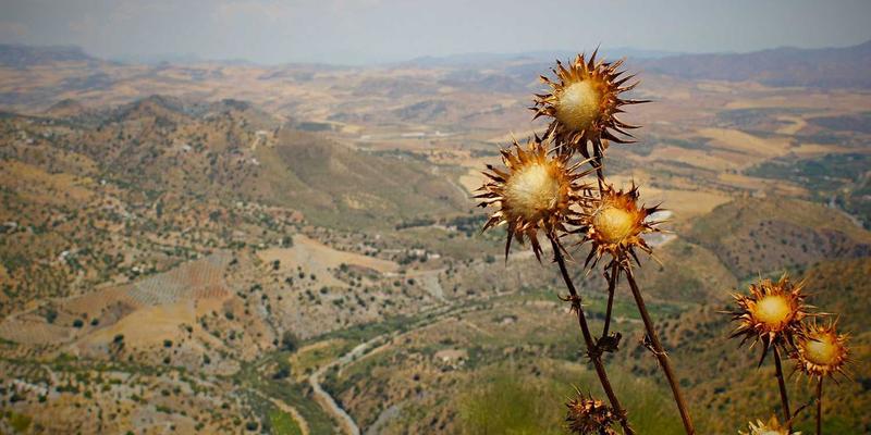贵阳男科医院性心理门诊：专业诊疗服务如何解决心因性勃起功能障碍与性焦虑