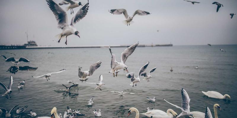 贵阳男科医院排名前十强综合解析：性功能障碍与前列腺炎诊疗实力对比