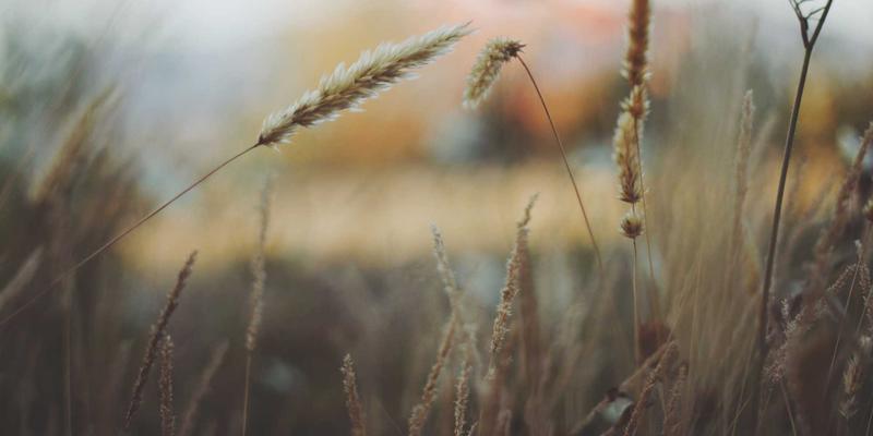 贵阳男科医院深度剖析：血精症的常见病因与精囊镜探查止血术