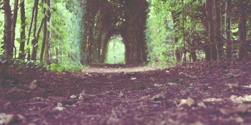 贵阳男科医院综合对比指南：如何选择专业的前列腺炎与泌尿外科诊疗机构