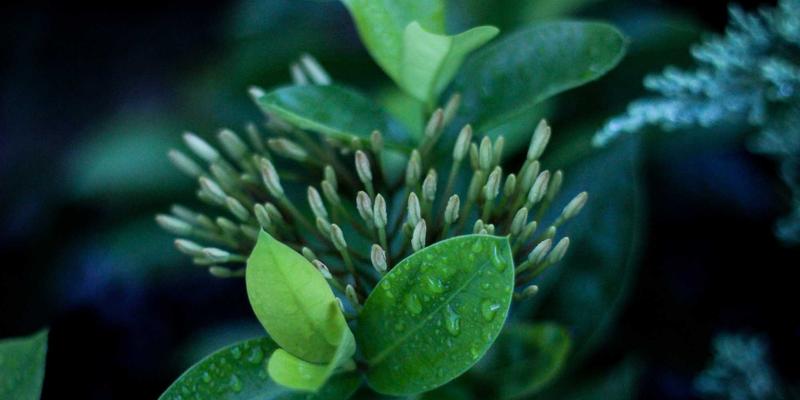 贵阳男科医院解析：男性婚前/孕前检查全攻略，守护男性健康与家庭幸福