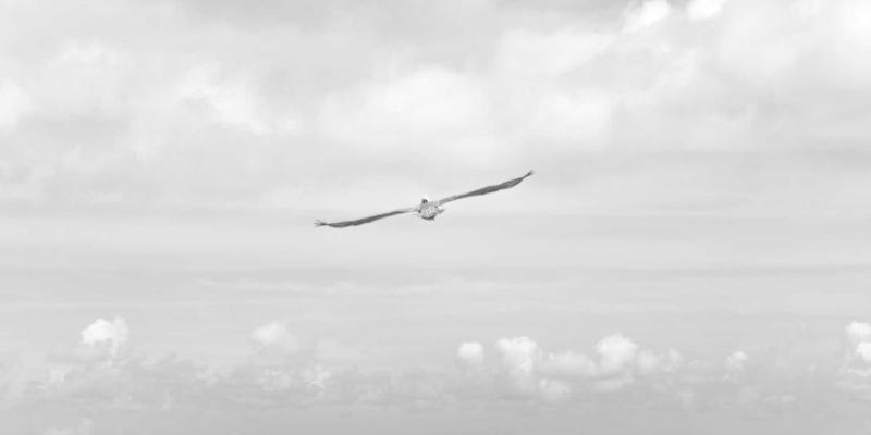 贵阳男科医院详解：包皮过长与包茎手术方式选择及术后护理要点，科学诊疗远离性功能障碍